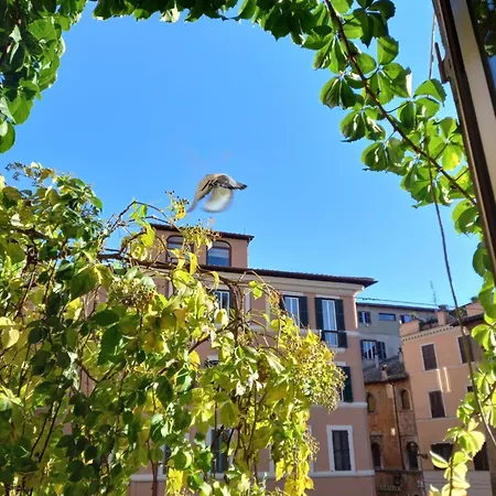 In Trastevere 公寓 罗马
